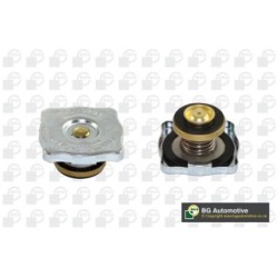 Coolant Tank Cap BGA CC6545 OE Ref 4469385