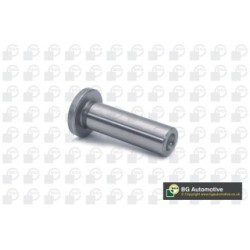 Tappet BGA CF1498 OE Ref 1662935