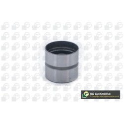 Tappet BGA CF4883 OE Ref 2A13