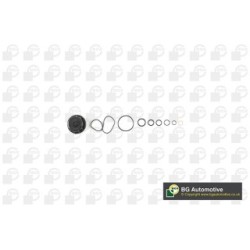 Crankcase Gasket Kit BGA CK1503 OE Ref 4431845