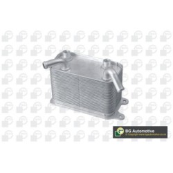 Oil Cooler (AT) BGA CO9609 OE Ref 7H0317019B