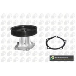 Water Pump BGA CP1205 OE Ref 25191167
