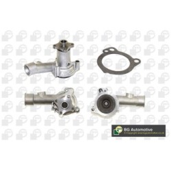Water Pump BGA CP2462 OE Ref 1233204