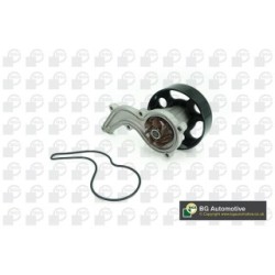 Water Pump BGA CP2506 OE Ref 192005R0003