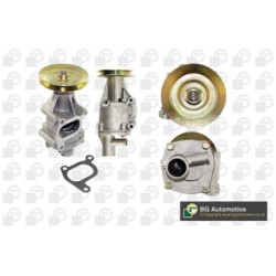 Water Pump BGA CP2846 OE Ref 7724414