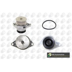 Water Pump BGA CP3166 OE Ref 036121005D