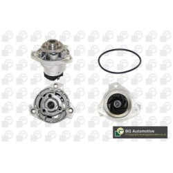 Water Pump BGA CP3184 OE Ref 066121011DX