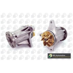 Water Pump BGA CP3303 OE Ref LR013164
