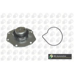 Water Pump BGA CP4208 OE Ref 31219000