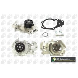 Water Pump BGA CP7303 OE Ref 210109189R