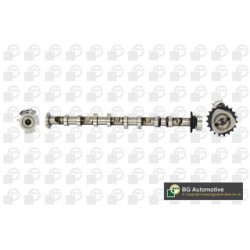 Camshaft BGA CS0105 OE Ref 06F109101B