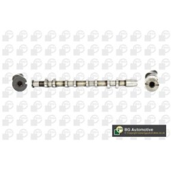 Camshaft BGA CS0110 OE Ref 06F109102E