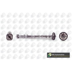 Camshaft BGA CS0140 OE Ref 06H109022BC