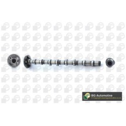 Camshaft BGA CS0900 OE Ref 11318508118