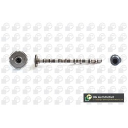 Camshaft BGA CS0905 OE Ref 11318509119