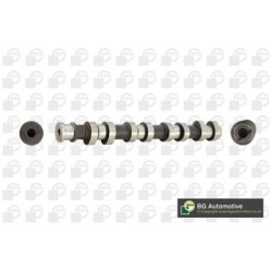 Camshaft BGA CS1453 OE Ref 636034