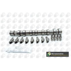 Camshaft Kit BGA CS1453FK OE Ref 636034