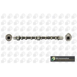 Camshaft BGA CS2202 OE Ref 504006993