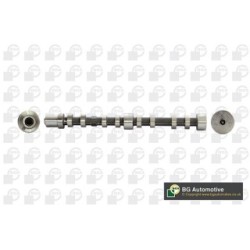 Camshaft BGA CS2203 OE Ref 504006995