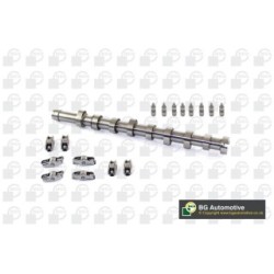 Camshaft Kit BGA CS2300FK OE Ref 0903.H0