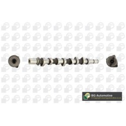 Camshaft BGA CS2542 OE Ref 8200089894