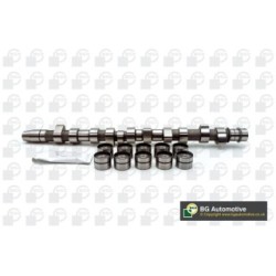 Camshaft Kit BGA CS3381K OE Ref 046109101K