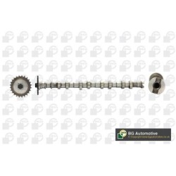 Camshaft BGA CS3600 OE Ref 24200-2A101