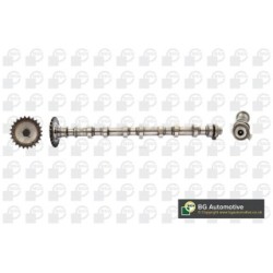Camshaft BGA CS3601 OE Ref 24100-2A101