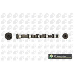 Camshaft BGA CS4365 OE Ref 90444139