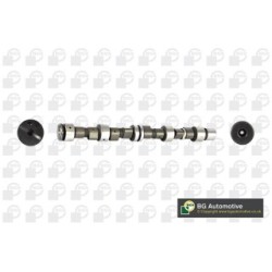Camshaft BGA CS5339 OE Ref 90273368