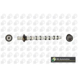 Camshaft BGA CS5531 OE Ref 1313804