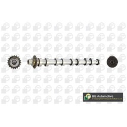 Camshaft BGA CS5538 OE Ref 1313805