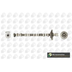 Camshaft BGA CS6100 OE Ref 1015B105