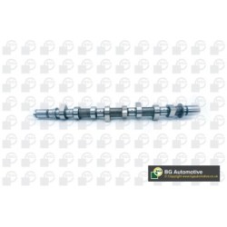 Camshaft BGA CS6300 OE Ref 8200718120