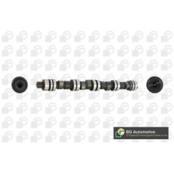 Camshaft BGA CS6303 OE Ref 6186554