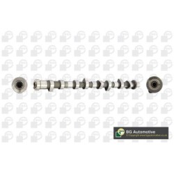 Camshaft BGA CS6307 OE Ref 13020-AD212