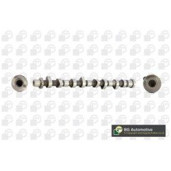 Camshaft BGA CS6308 OE Ref 13020-AD202