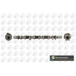 Camshaft BGA CS6319 OE Ref 8200978873