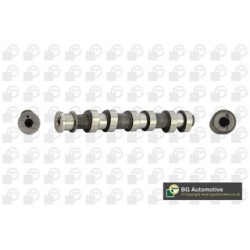 Camshaft BGA CS6329 OE Ref 9120518