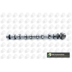 Camshaft BGA CS6373 OE Ref 93198678