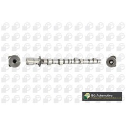 Camshaft BGA CS6382 OE Ref 11311709580