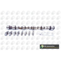 Camshaft Kit BGA CS6387K OE Ref 90421983