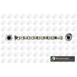 Camshaft BGA CS6700 OE Ref 0801.AJ
