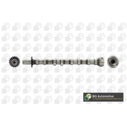 Camshaft BGA CS6703 OE Ref 0801.FZ