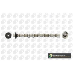 Camshaft BGA CS6704 OE Ref 0801.FY