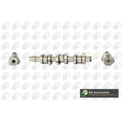 Camshaft BGA CS7900 OE Ref 045109101J