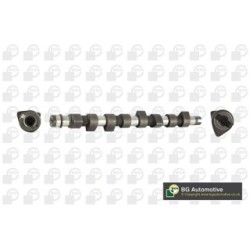 Camshaft BGA CS8393 OE Ref 46772393