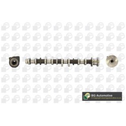 Camshaft BGA CS9101 OE Ref 13501-22040