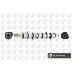 Camshaft BGA CS9503 OE Ref 38109101AH