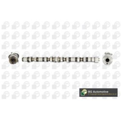 Camshaft BGA CS9504 OE Ref 96440157